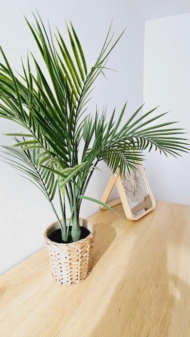 Boho Arenal Bol Con Parking Apartment Calpe Exterior photo